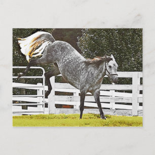 Kicking Up Heals Postcard