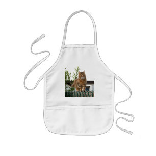 kid apron