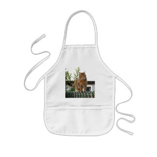kid apron