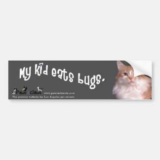 "Kid Eats Bugs" Cat Colour Bumper Sticker