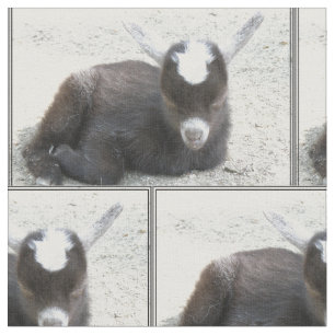 Kid Goat Fabric