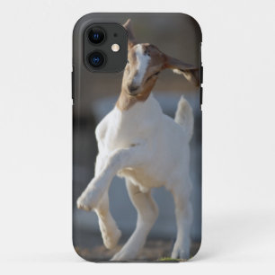 Kid Goat Playing iPhone 11 Case