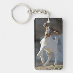 Kid Goat Playing Key Ring