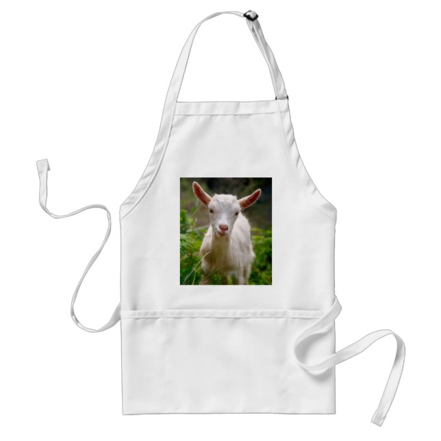 Kid Goat Standard Apron (Front)