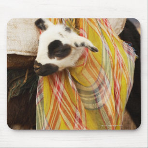 Kid in a saddlebag mouse pad