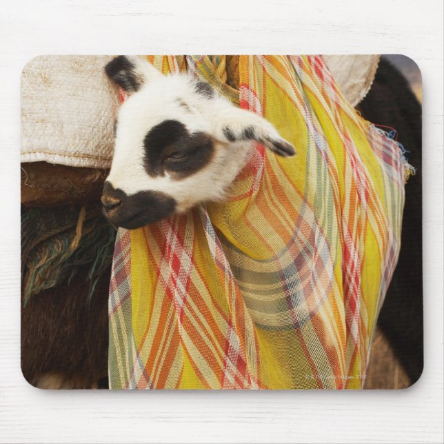 Kid in a saddlebag mouse pad (Front)