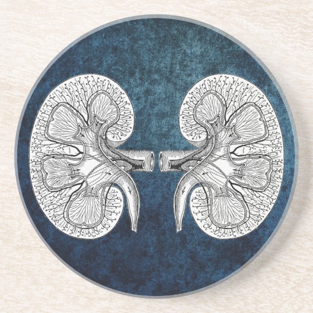 KIDNEY 2 DRAWING COASTER (Front)