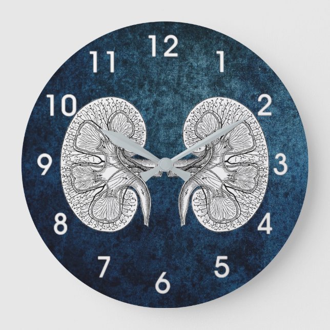 KIDNEY 2 DRAWING LARGE CLOCK (Front)