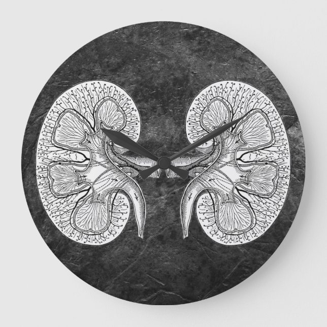 KIDNEY 2 DRAWING LARGE CLOCK (Front)