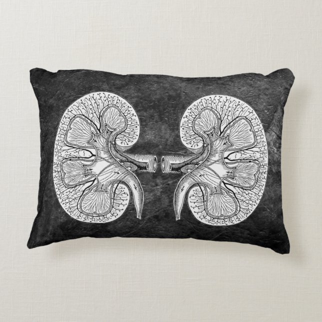 KIDNEY 2 DRAWING PILLOW (Back)