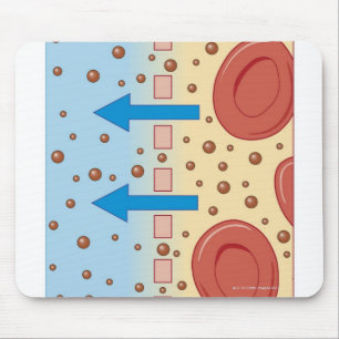 Kidney Dialysis Mouse Pad