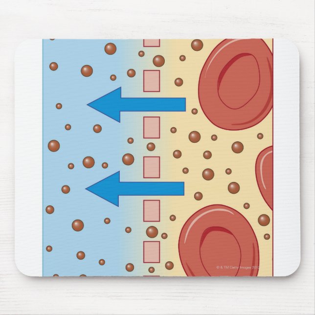 Kidney Dialysis Mouse Pad (Front)