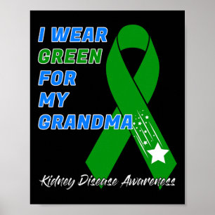 Kidney Disease Awareness Dialysis Transplant Patie Poster