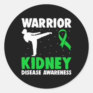 Kidney Disease Warrior Dialysis Nephritis Organ Do Classic Round Sticker