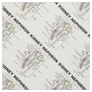 Kidney Nephron Gray's Anatomy Textbook  Fabric