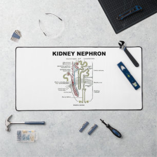 Kidney Nephron Grey's Anatomy Textbook  Desk Mat