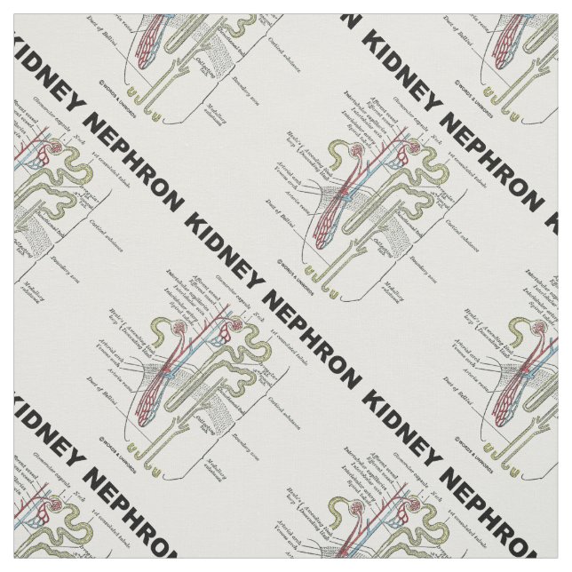 Kidney Nephron Grey's Anatomy Textbook  Fabric (Swatch)