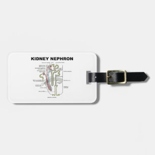 Kidney Nephron (Grey's Anatomy Textbook) Luggage Tag