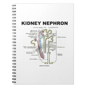 Kidney Nephron (Grey's Anatomy Textbook) Notebook