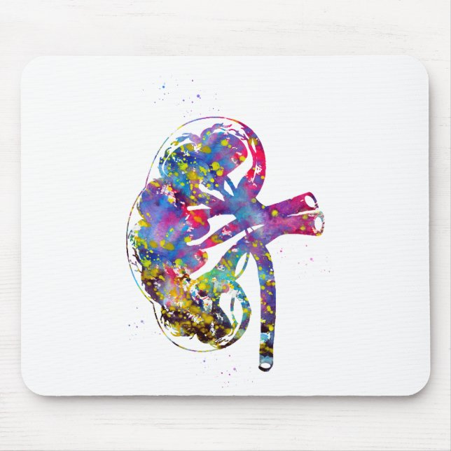 Kidney section mouse pad (Front)