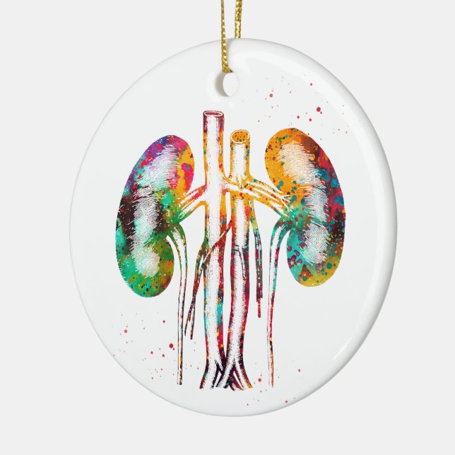 Kidneys anatomy ceramic ornament (Left)