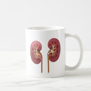 kidneys coffee mug