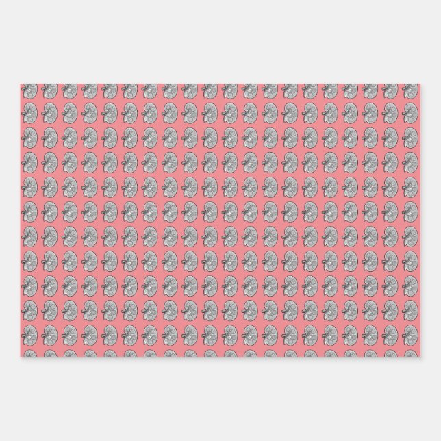 Kidneys, rose colour, wrapping paper sheet (Front)