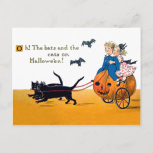 Kids are riding a big pumpkin on Halloween Postcard