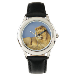 Kids Classic Watch/Wildlife Lion Watch