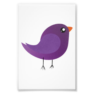 Kids cute birdy  photo print