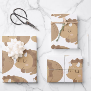 Kids Cute Dinosaur Wrapping Paper Sheet