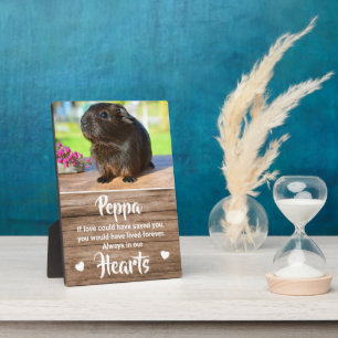 Kids Cute Photo Pet Memorial Plaque