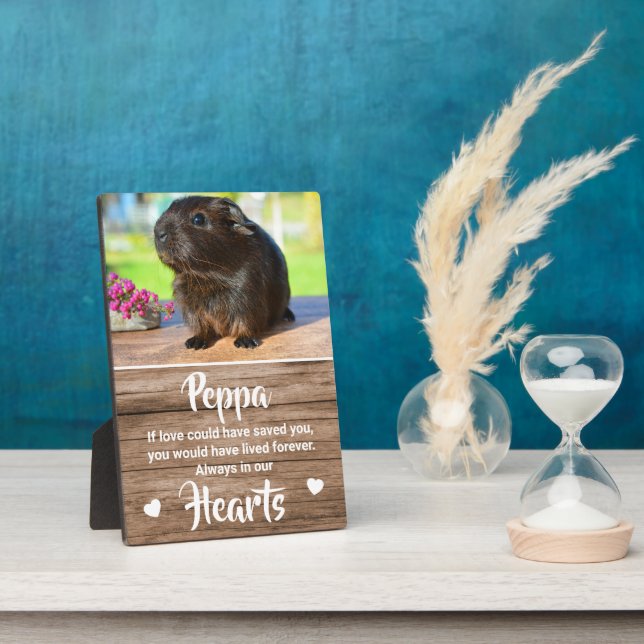 Kids Cute Photo Pet Memorial Plaque (Side)