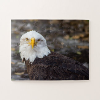 Kid's Edition American Eagle Jigsaw Puzzle