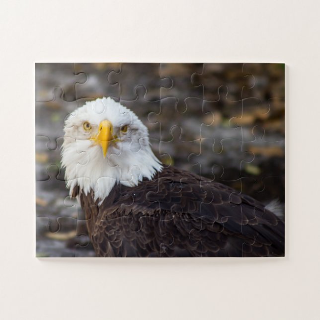 Kid's Edition American Eagle Jigsaw Puzzle (Horizontal)