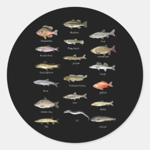Kids Fish Species Biology Types Of Freshwater Fish Classic Round Sticker