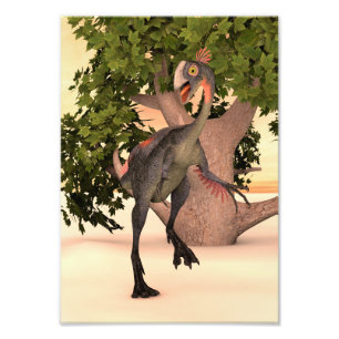Kids Gigantoraptor Dinosaur Adventure Art Photo Print
