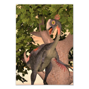 Kids Gigantoraptor Dinosaur Adventure Art Photo Print