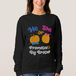 Kids He Or She Promoted To Big Brother Gender Reve Sweatshirt