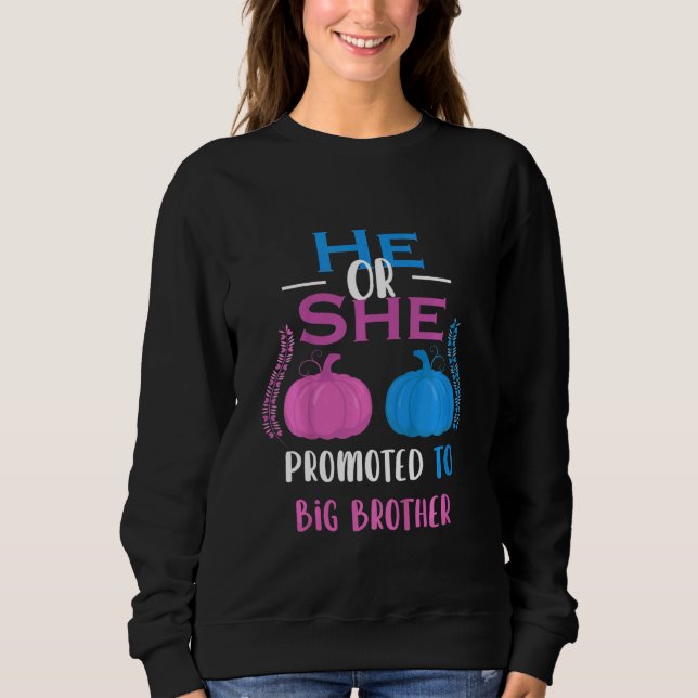 Kids He Or She Promoted To Big Brother Gender Reve Sweatshirt (Front)