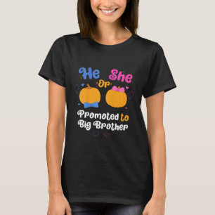 Kids He Or She Promoted To Big Brother Gender Reve T-Shirt