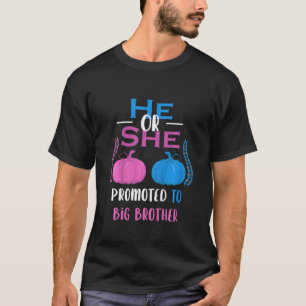 Kids He Or She Promoted To Big Brother Gender Reve T-Shirt