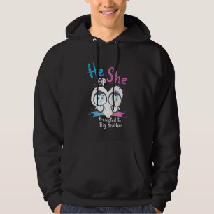 Kids He Or She Promoted To Big Brother Penguin Gen Hoodie
