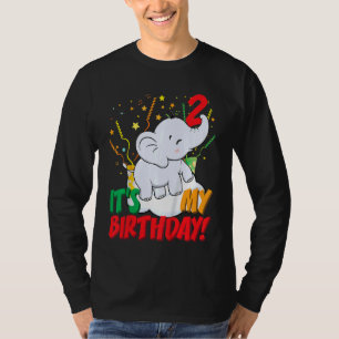 Kids It's My Birthday Elephant 2 Birthday Party T-Shirt