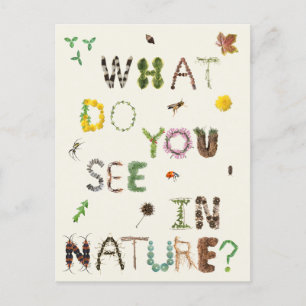 Kids Naturalist Nature Explorers Postcard