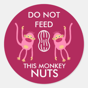 Kids Nut Allergy Warning Classic Round Sticker