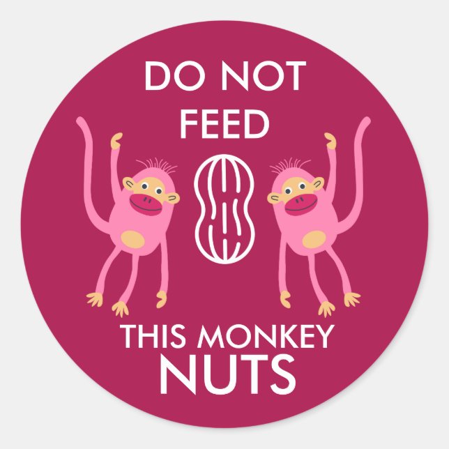 Kids Nut Allergy Warning Classic Round Sticker (Front)