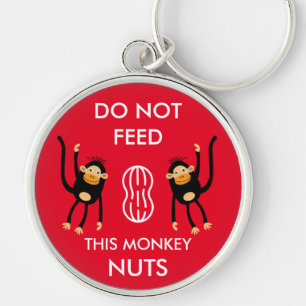 Kids Nut Allergy Warning Key Ring