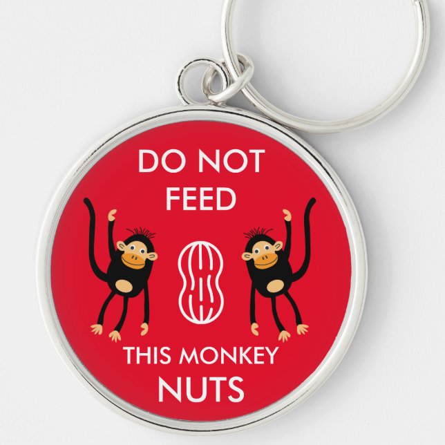 Kids Nut Allergy Warning Key Ring (Front)