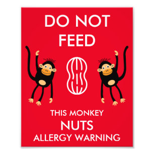 Kids Nut Allergy Warning Photo Print